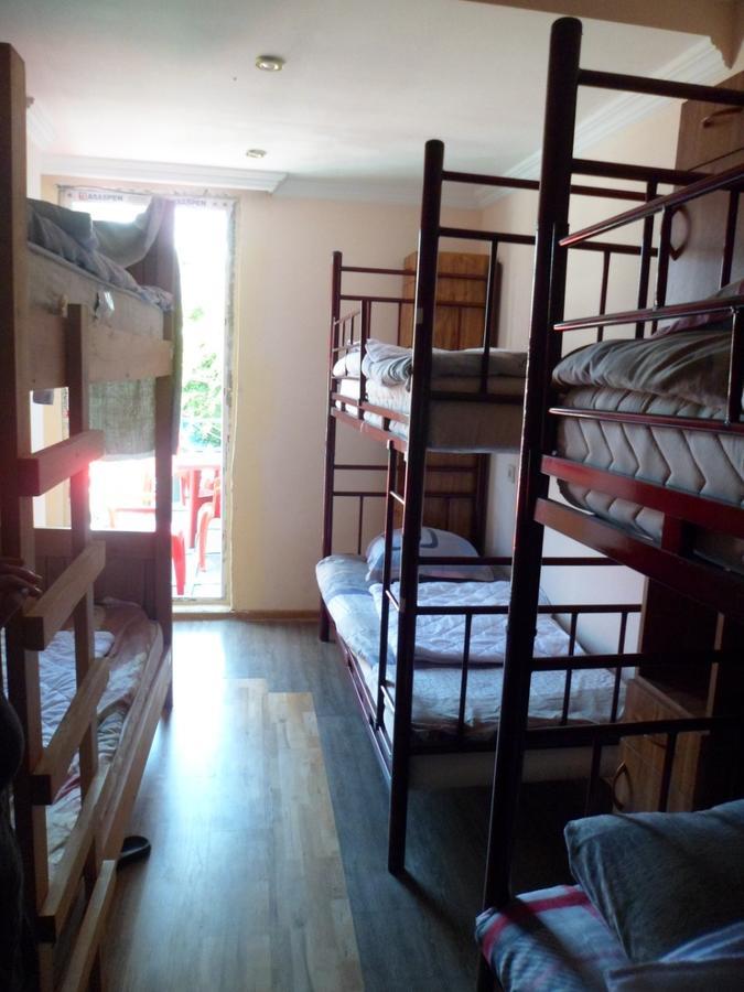 Everyday Cat Hostel Batumi Exterior foto